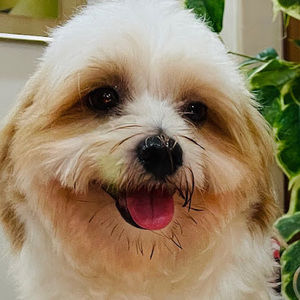 Meet your Posher, Kate marielle